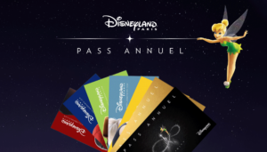 Billets Privileges Disneyland Paris